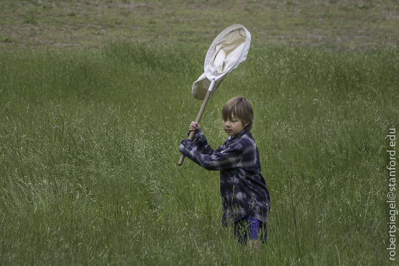 stanford bioblitz2019